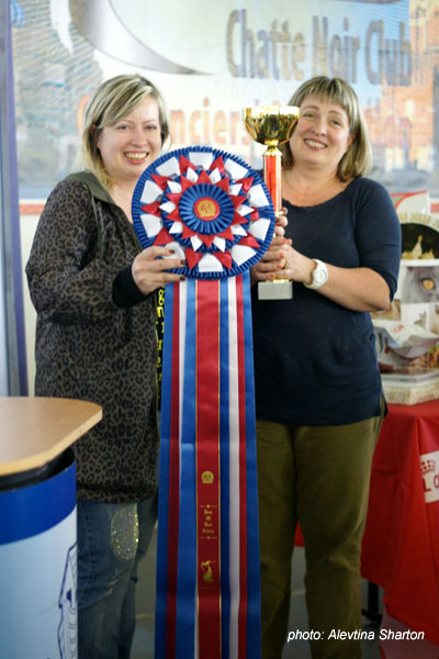 ISKRA BERLIOZ - BEST KITTEN CFA SHOW - 001