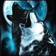 WolfMoon