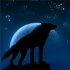 Whitewolf177