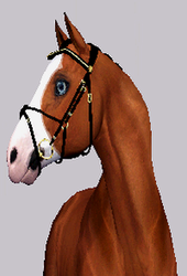 Equestrian Sims 2253-0