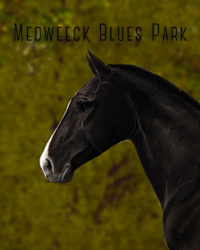 Medweeck Blues Park