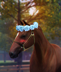 Equestrian Sims 2742-35