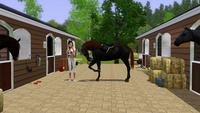 Equestrian Sims 2826-15