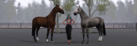 Equestrian Sims 4338-48