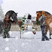 Equestrian Sims 5243-3