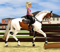 Equestrian Sims 5322-41