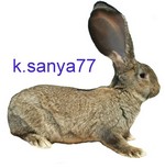 k.sanya77