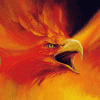 ~Phoenix~