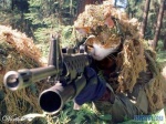 Cat killer 46