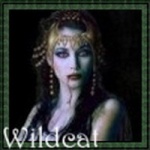 Wildcat_8