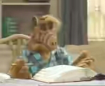 Alf Shamwey