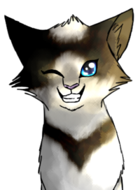 Hässlichste Und Schöne Warrior Cats Namen