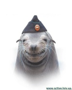 Farting_Seal