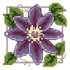 Clematis