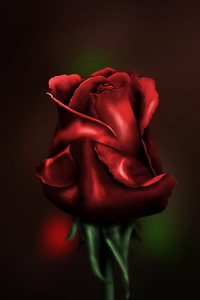 RedRose77