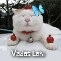 vados_loki