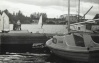 Хлебниковский затон, сентябрь 1982г. На переднем плане яхта Зайчик типа Корморан, на заднем плане будущий лехнерист А. Ноздрин (на доске, видимо, Монотип польский)