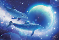 SpaceDolphin
