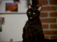 Salem