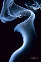 Smoke(Inside)