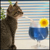 Аватары с кошками 3fab7510