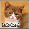 brit-fiord