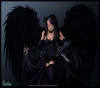 black wings by fugaz star